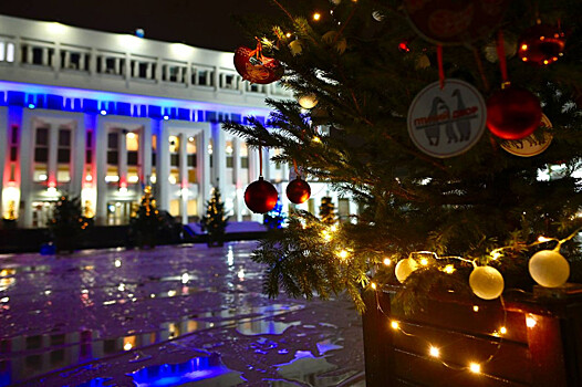 В центре Тамбова организовали парад новогодних елок