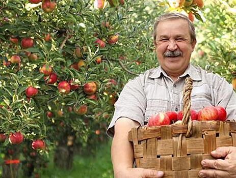 РСХБ: Платформа Своё Родное — единственный канал продаж в сегменте B2 °C для каждого десятого фермера страны