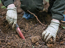 В Италии нашли самое древнее свидетельство инцеста