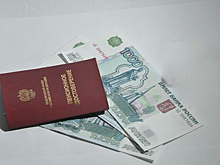 В Госдуме рассказали, что произойдет с недополученной за 8 лет пенсией