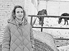 В Нижегородской области возрождают исчезающую породу лошадей — советский тяжеловоз