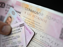 Водителям рассказали, как проверить ОСАГО на подлинность