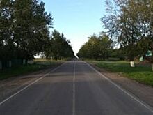 В Черемховском районе водитель насмерть сбил мужчину и уехал