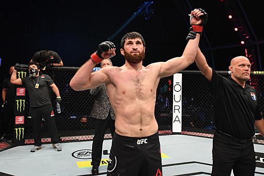 У России появился новый официальный претендент на титул UFC? Магомед Анкалаев на пути к поясу