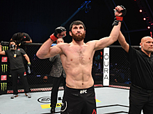 У России появился новый официальный претендент на титул UFC? Магомед Анкалаев на пути к поясу