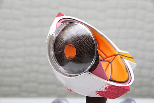 Российские учёные создали первый в мире микростент для операций на глазах