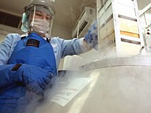 Как ускорить принятие новых союзных программ