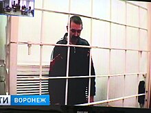 Хозяин медведя-убийцы в воронежском суде: семья и животные без меня осиротеют