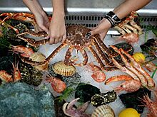 Россия ограничила поставки морепродуктов из Китая
