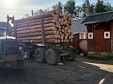 В Тверской области полицейские выявили массовую вырубку леса