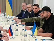 Чего ждут от нового раунда переговоров в России и на Украине