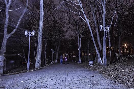 Тихий ужас: во Владивостоке городской парк поглотила тьма
