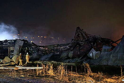 ГУ МЧС: причиной пожара на рынке в Волжском стало нарушение пожарной безопасности