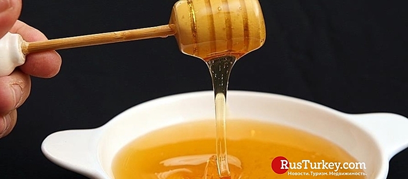 Турция экспортировала мед в 27 стран