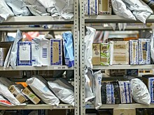 Вологжане стали на 30% быстрее оформлять онлайн посылки на сайте Почты России