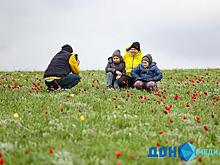 Погода &ndash; не помеха: в Орловском районе прошел фестиваль &laquo;Воспетая степь&raquo;