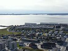 Раскрыто, даст ли Европа военный ответ Трампу за Гренландию