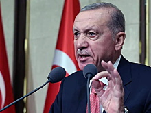Эрдоган оценил идею проведения саммита по Украине