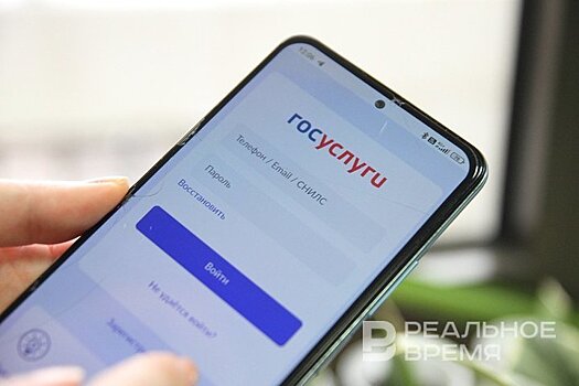 Кучушев: "Госуслуги" ежедневно обслуживают 14 млн россиян