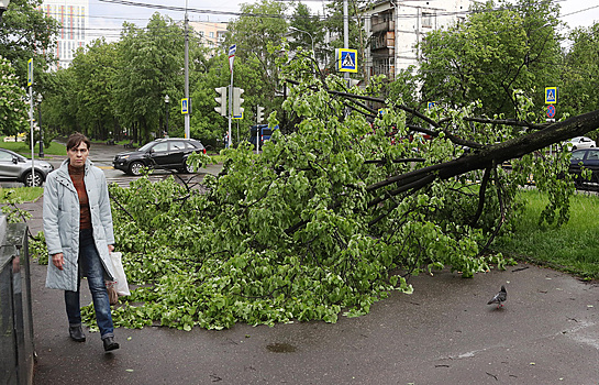 Синоптики вновь обьявили штормовое предупреждение в Москве