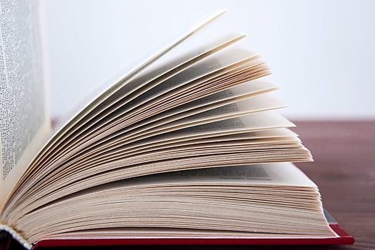 Словарь Collins Dictionary назвал словом 2024 года прилагательное brat