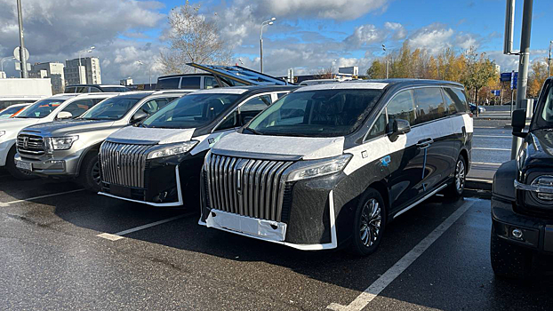 В Россию привезли первые минивэны Wey 80