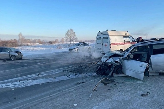 7,5 лет колонии получил виновник гибели директора спортшколы в ДТП под Искитимом