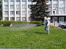 Общественные пространства, парки и скверы обрабатывают от клещей в Нижнем Новгороде