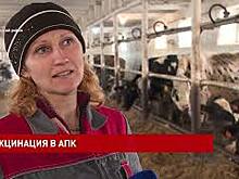 Вакцинацию продолжают проводить и на предприятиях АПК
