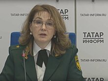 Росприроднадзор зафиксировал уменьшение промышленных выбросов в Татарстане