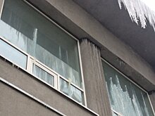 Полиция проверяет ремонт саратовского цирка на признаки мошенничества