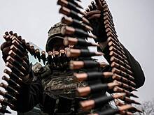 Половина опрошенных немцев выступили против военных поставок Украине