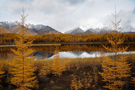 Китайцы отказались от аренды земли в Забайкалье