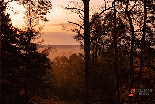 На уральской мистической горе нашли пропавшего туриста: он неделю выживал среди диких зверей