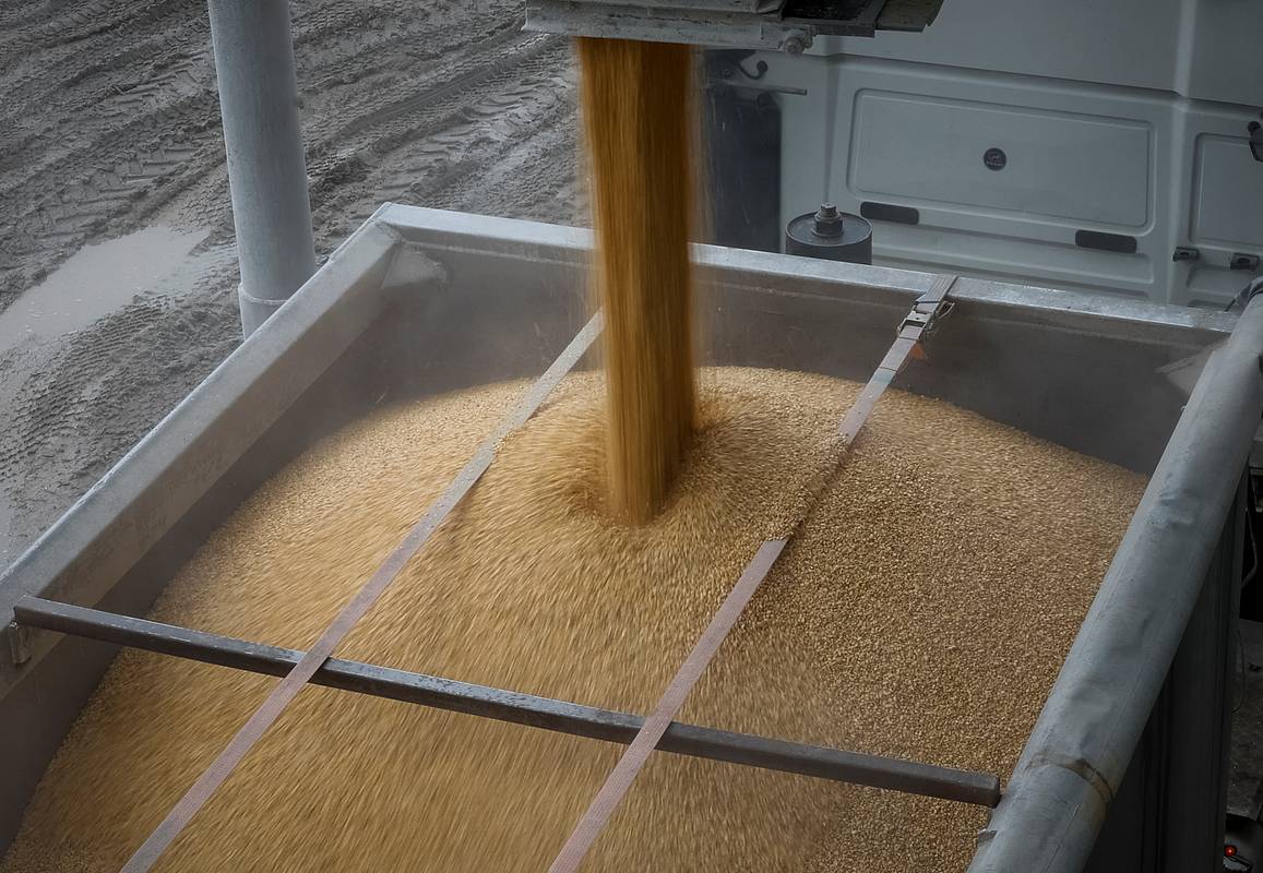 В МИД России назвали условие для продления зерновой сделки