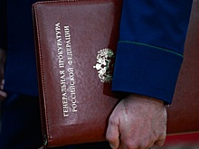 Генпрокуратура инициировала проверку видео с предполагаемым убийством украинского пленного