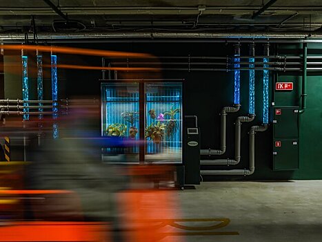 В "Зарядье" появится инсталляция Марины Звягинцевой