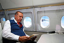Welt am Sonntag: выборы президента Турции могут пройти досрочно уже осенью