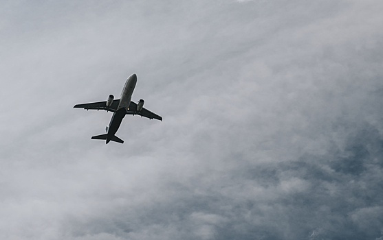 Российские фигуристы Шишкова и Наумов были на борту разбившегося в США самолета