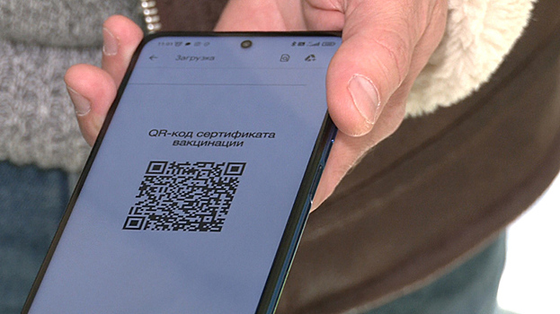 Ямальские общественники намерены отстоять право на жизнь без QR-кодов