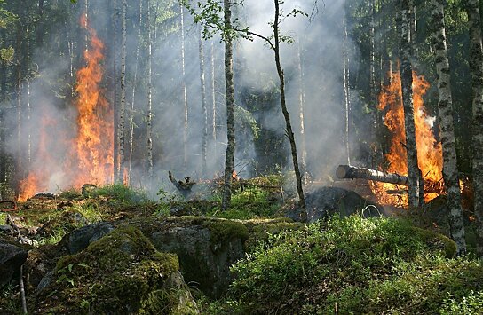 Сухие грозы являются ключевой причиной лесных пожаров в северной части России