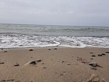 При попытках добраться до европейской страны погибли более 3000 тысяч мигрантов