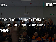 По итогам прошедшего года в Ленобласти наградили лучших спасателей