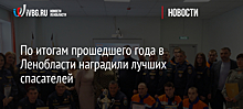 По итогам прошедшего года в Ленобласти наградили лучших спасателей