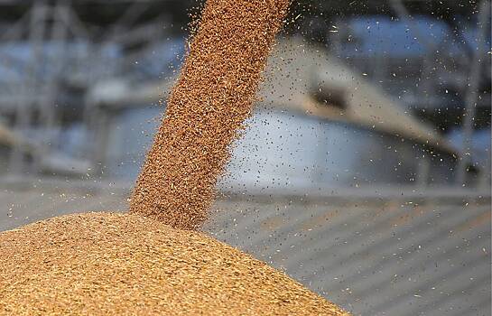 Египет закупил рекордное количество пшеницы у России