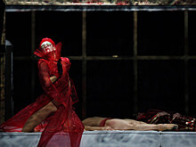 6 премьер фестиваля Dance Open, ради которых надо ехать в Петербург