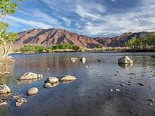 Торейские озера: под защитой ЮНЕСКО и угрозой исчезновения