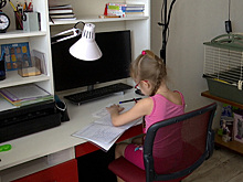 Стало известно, когда школы Ямала переведут на дистант из-за «омикрона»