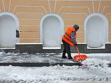 В Россию стали ввозить больше работников из Индии