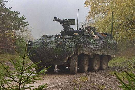 Военный раскрыл особенности попытавшейся прорваться под Курском американской техники